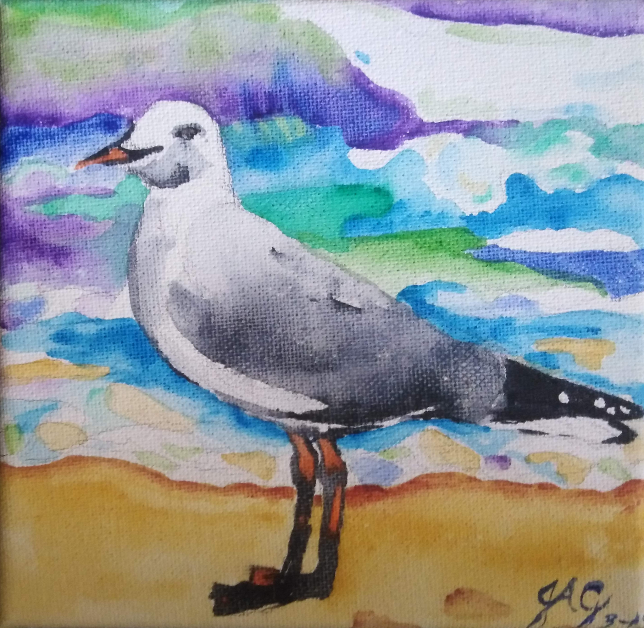 Seagull