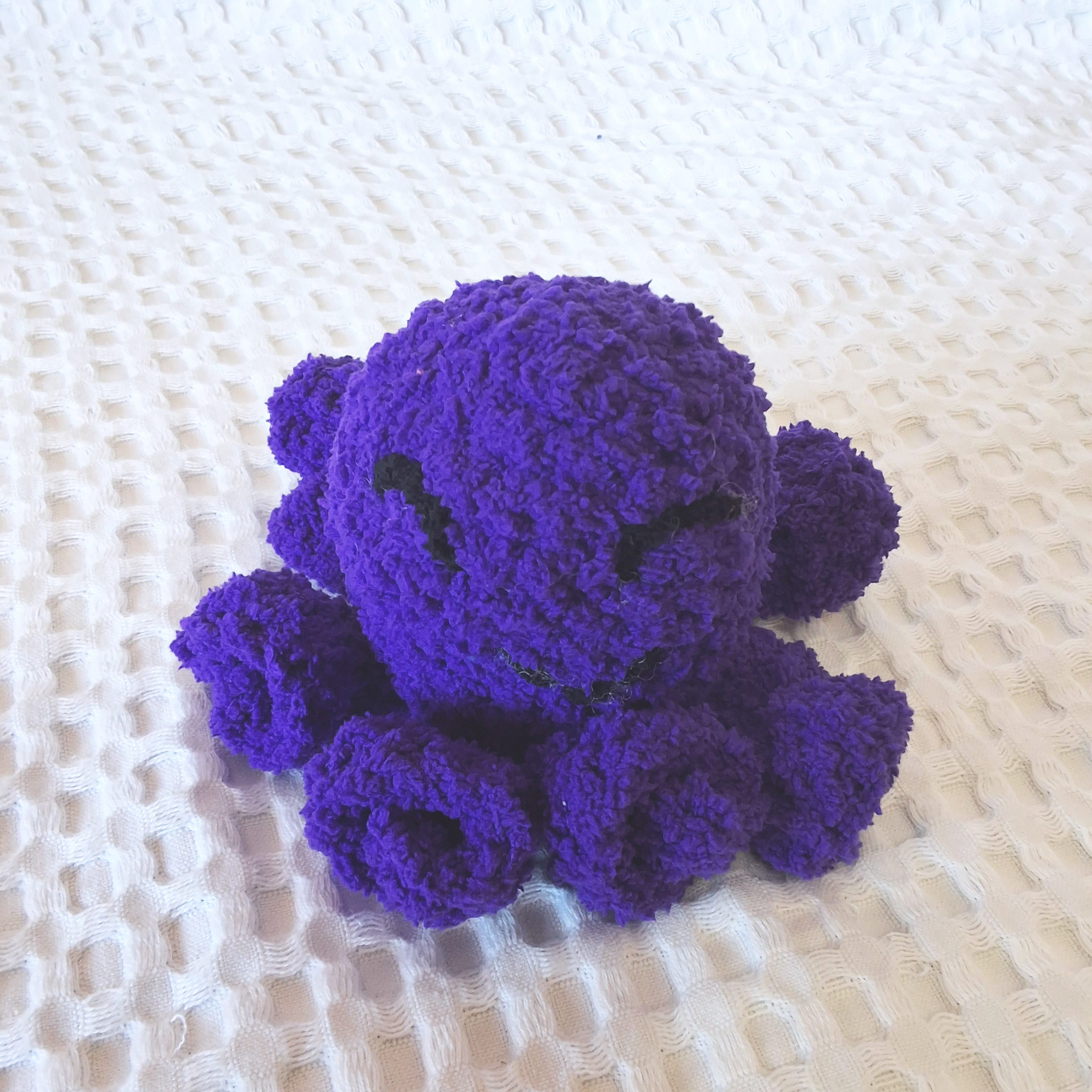 purple octosquishy
