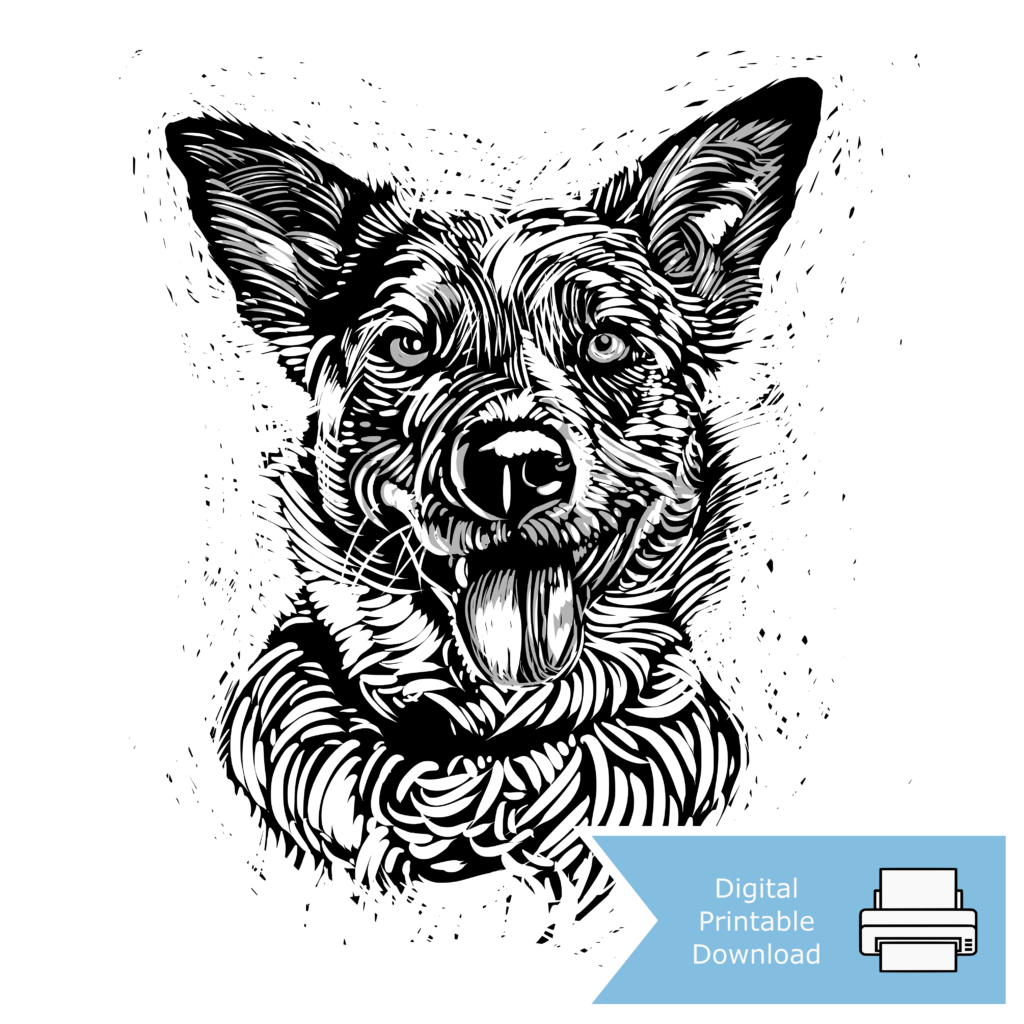 Australian Cattle Dog