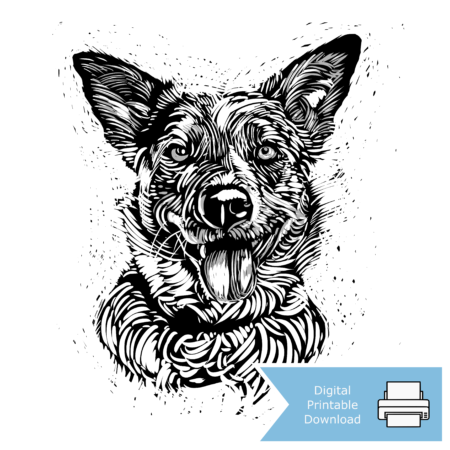 Australian Cattle Dog