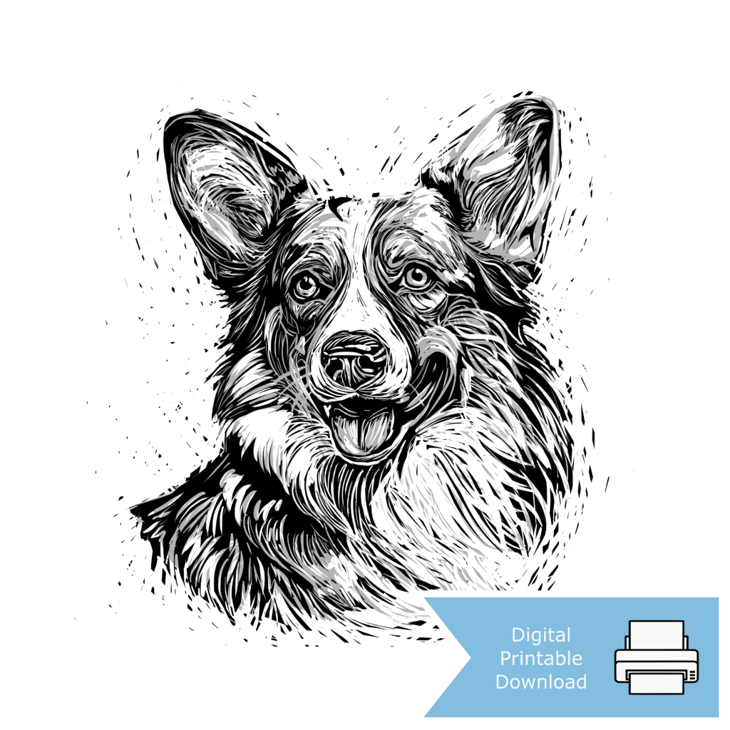 Corgi