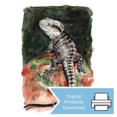 Eastern Water Dragon