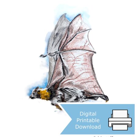 Mother Flying Fox with Joey