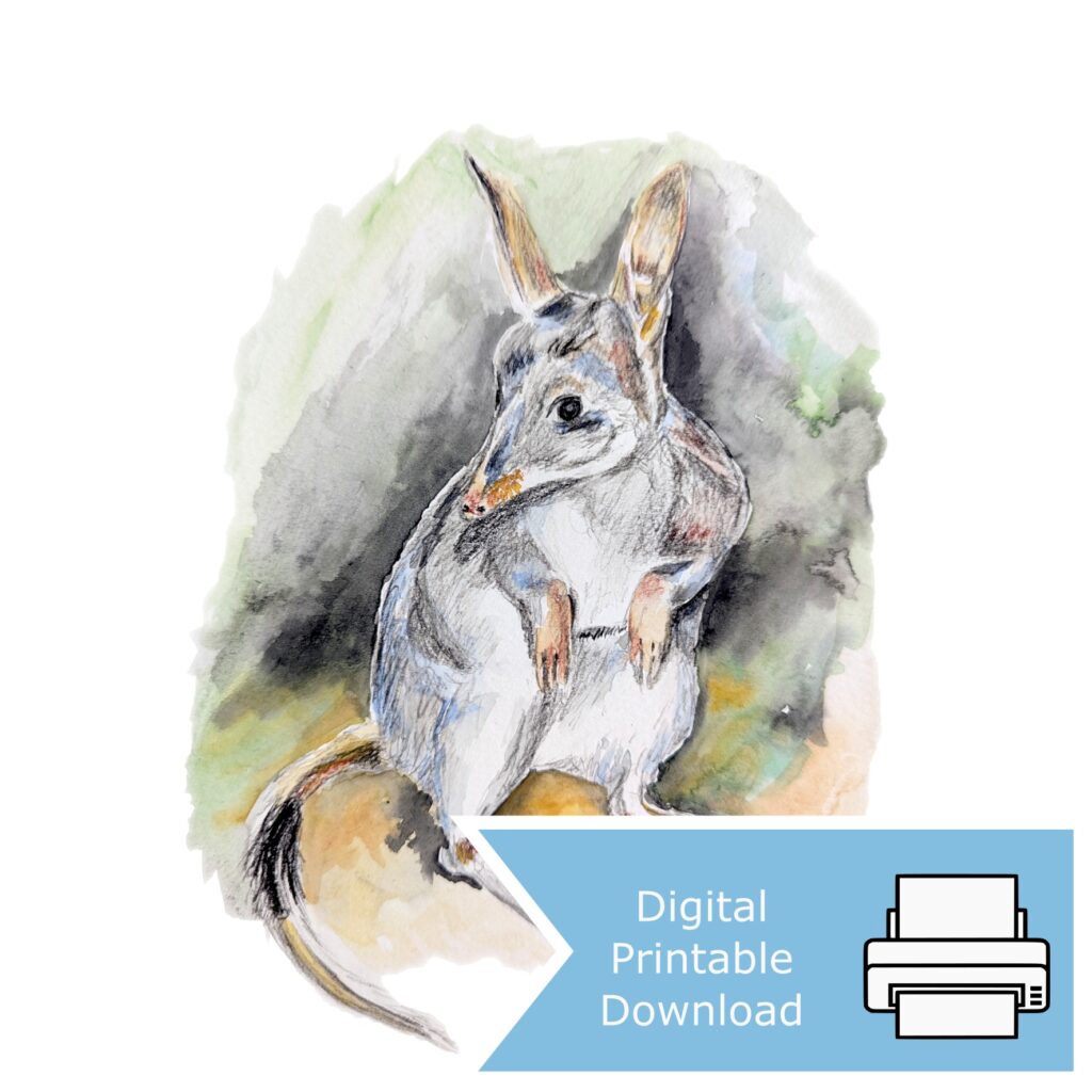 Greater Bilby