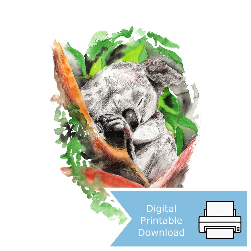 Koala Sleeping