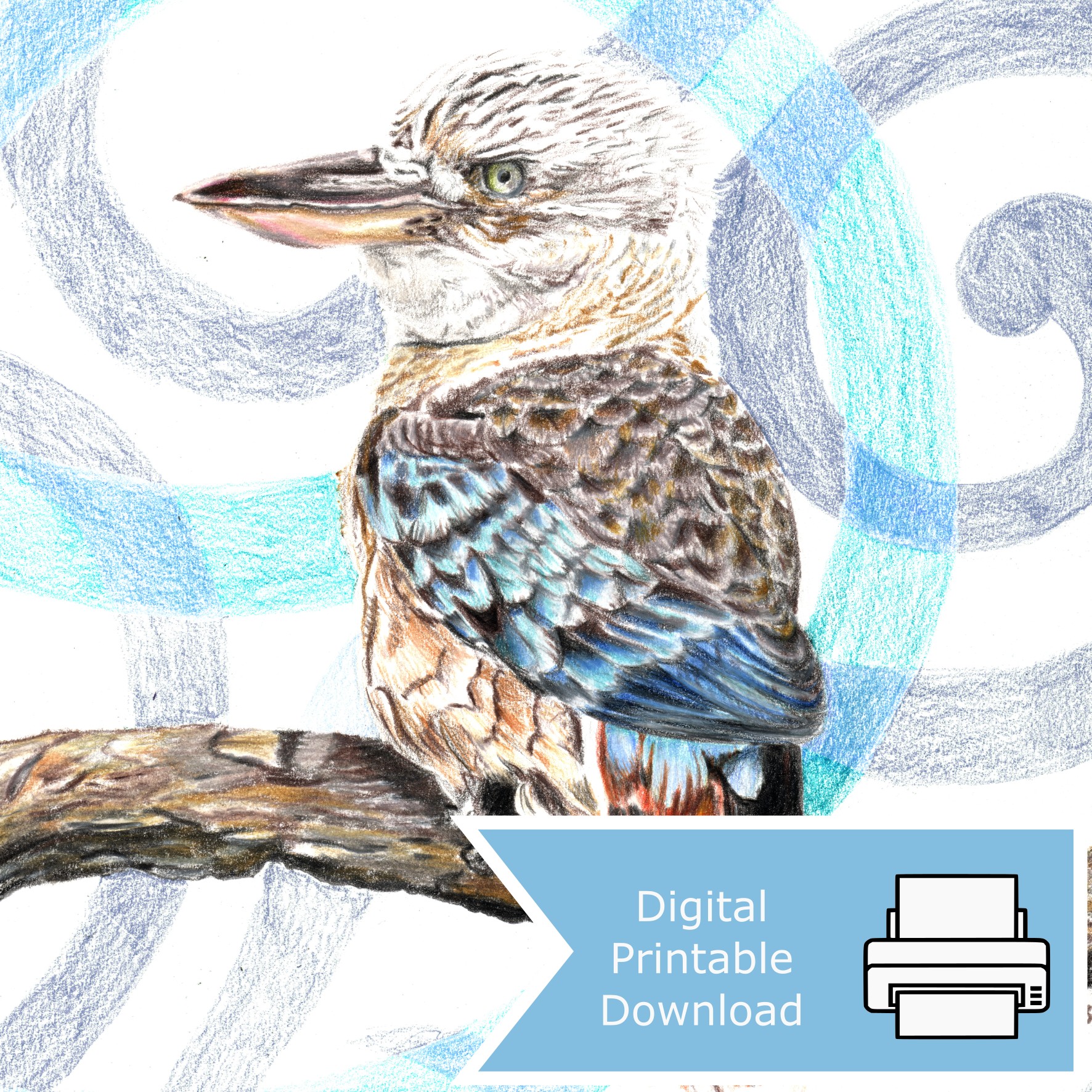Kookaburra_Digital Listing Image