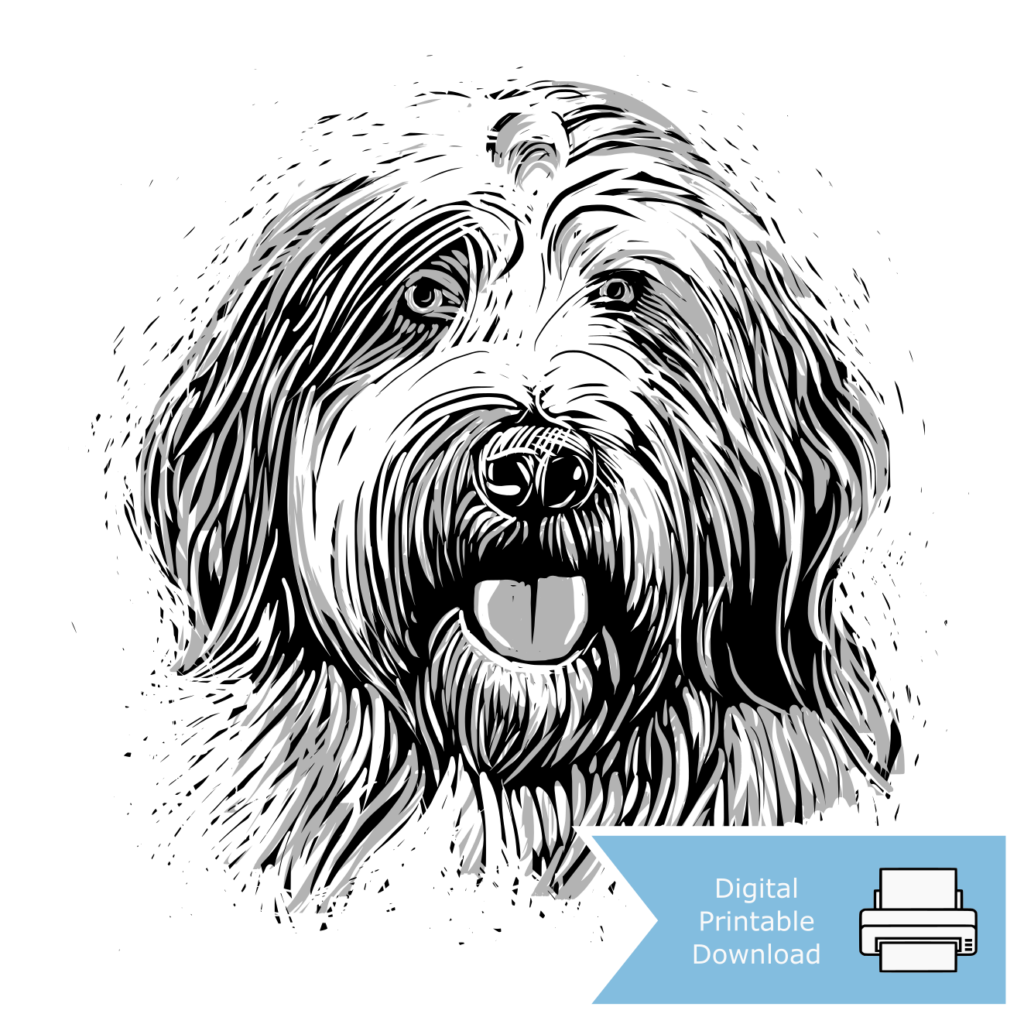 Old English Sheep Dog