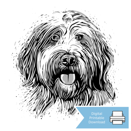 Old English Sheep Dog