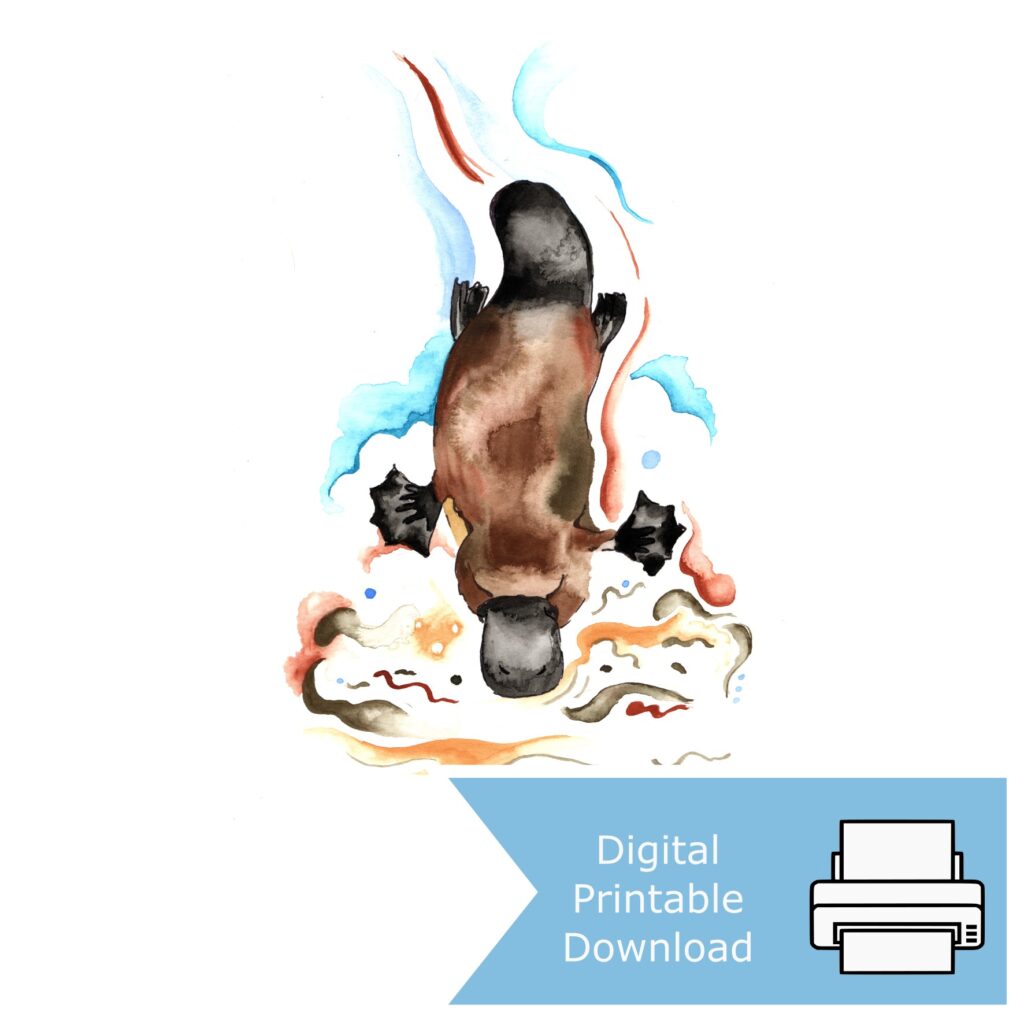 Platypus Digging