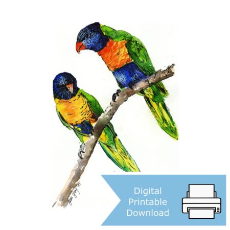 Rainbow Lorikeets Chattering