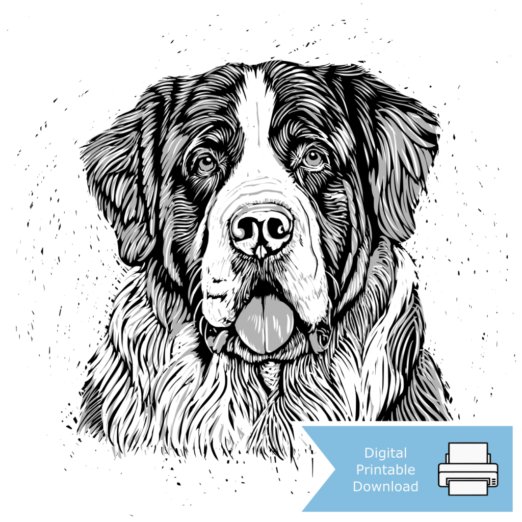 Saint Bernard