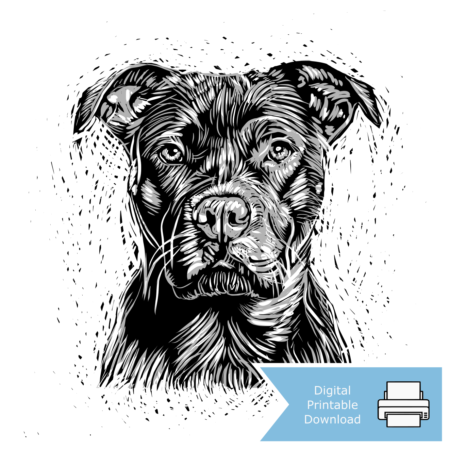 Staffordshire Bull Terrier