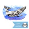 Happy Whale _Digital Listing Image Watercolour and ink painting of a humpback whale swimming underwater through deep blue washes.