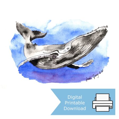 Watercolour and ink painting of a humpback whale swimming underwater through deep blue washes.