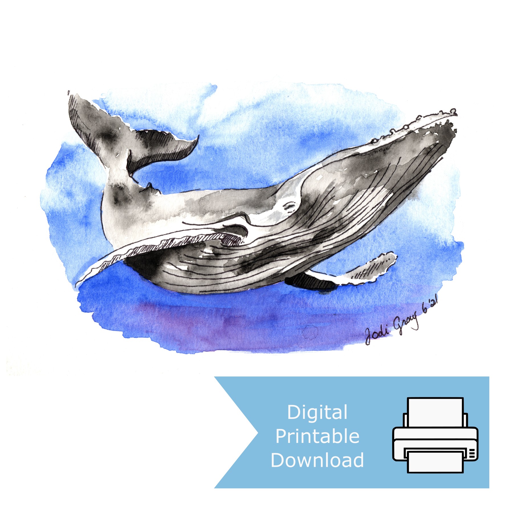 Happy Whale _Digital Listing Image Watercolour and ink painting of a humpback whale swimming underwater through deep blue washes.