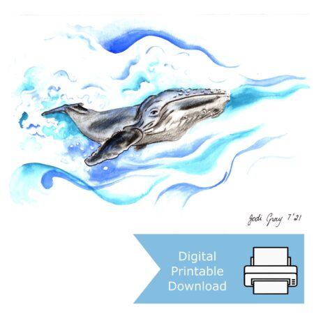 Watercolour and charcoal illustration of a humpback whale gliding through blue ocean swirls